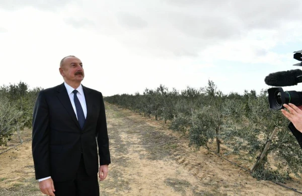 İlham Əliyev: Ölkə daxilində minlərlə iş yeri yaratmaq planlarımız var