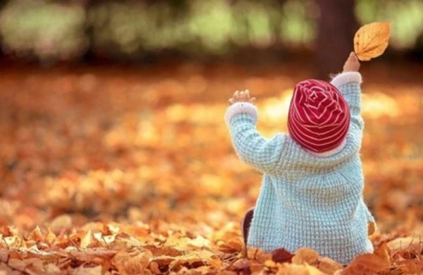 İpək kövşənləri darayıb payız, göndərər günəşə hörük yerinə... - FOTOlar
