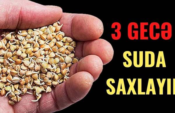 Qreçkanı 3 gün suda saxlayın və sonra yeyin: Görün nəyə dərmandır