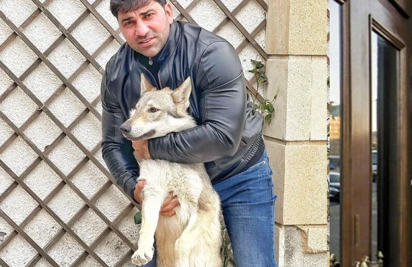 Kamil Zeynallı canavar aldı - Ondan Azərbaycanda yoxdur - FOTO
