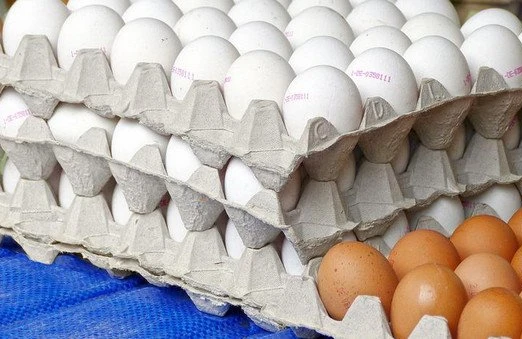 Yumurtanın genetik tərkibi ilə oynanılır: - "Ölkəmizdə buna "yaşıl işıq" yandırılıb"