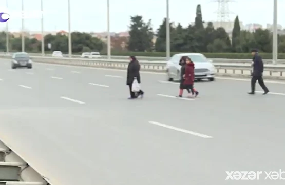 Bu yolda piyadaların həyatı təhlükə altındadır - VİDEO