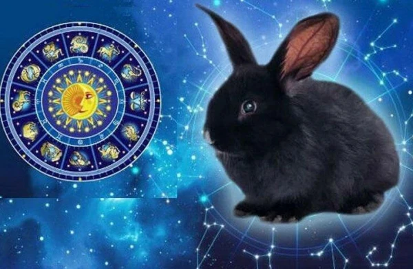 2023-cü ilin ən şanslı bürcü onlar olacaq  -  ASTROLOQLAR DANIŞIR