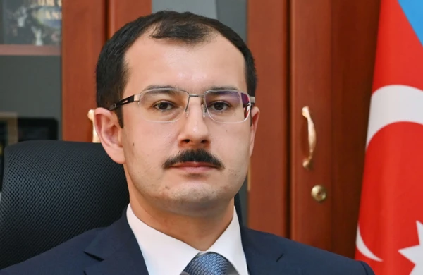 Elm və təshil nazirinin müavinin dəbdəbəli villlası - FOTO