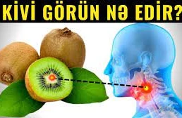 1 dənə kivi görün bədənimizə nələr edir - İNANILMAZ