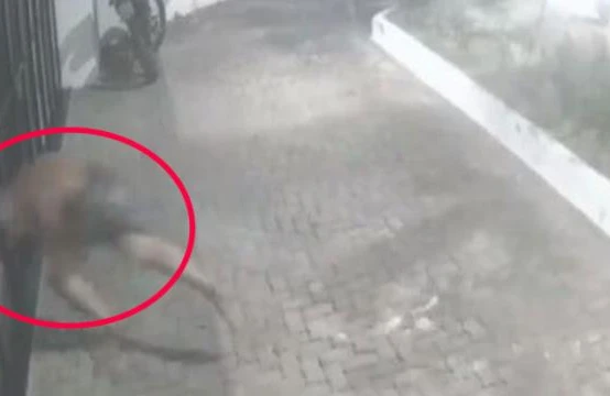 Qonşusunu zorlayan kişi hadisə yerində öldü - ŞOK VİDEO