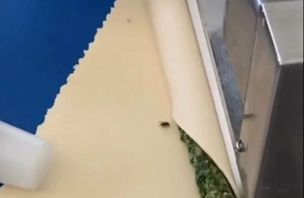 Bu VİDEOnu görənlər bir də paketlənmiş xəmir almayacaqlar