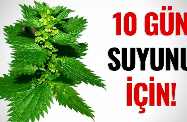 Gicitkanın suyunu 10 gün qaynadıb için: Görün nəyə dərman imiş (VİDEO)