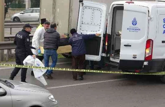 Sürücü sükan arxasında  öldü - video