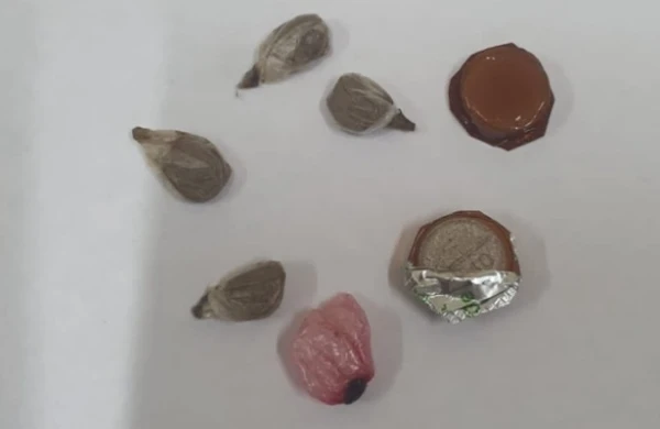Həbsxanadakı qardaşına gödəkçəsində narkotik keçirmək istədi