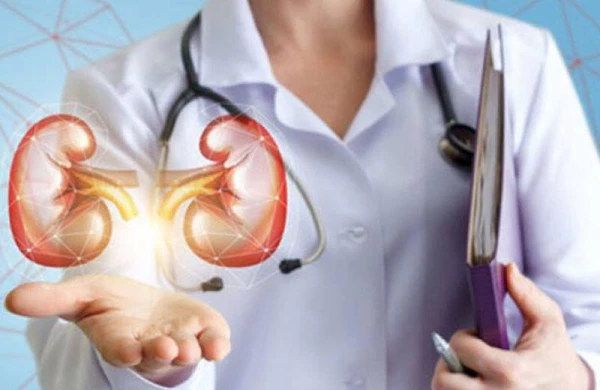 Böyrəklərin sağlamlığını qorumaq üçün ÇOX SADƏ ÜSULLAR