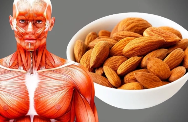Hər Gün 20 Badam Yesəniz, Sizə Nələr Olar?(VİDEO)
