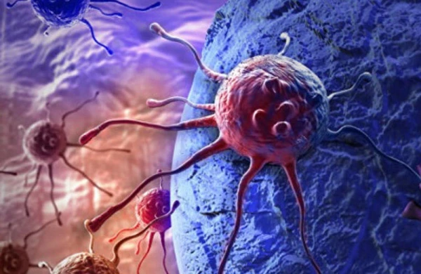Xərçəng xəstəliyi spermatozoidlərlə müalicə olunacaq