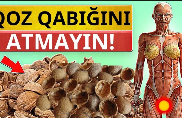 Faydalarını biləndən sonra qoz qabığını zibil qabına atmaycaqsız!