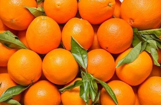 İrandan Azərbaycana gətirilən 20 tona yaxın zərərli portağal məhv edilib