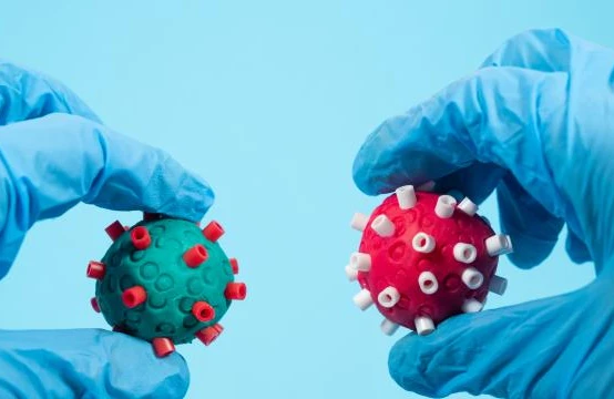 Hindistanda ölümcül virus yayıldı