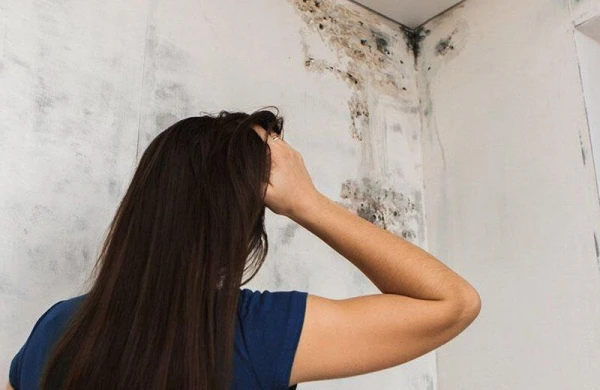 DİQQƏT: Evdə kif olması sonsuzluğa səbəb olur