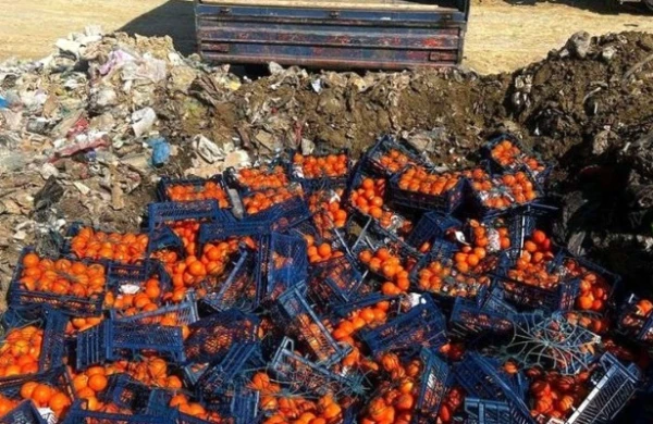 İrandan gətirilən portağal və bibərdə viruslar aşkarlandı - Foto