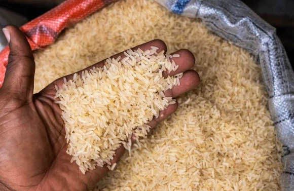Azərbaycana hələ plastik düyü gəlməyib, amma.. - Pakistan düyüsü almaq məsləhətdir