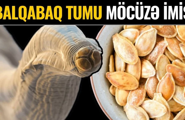 Qətiyyən Zibilə Atmayın! - Görün İnsana Nələr Edir...