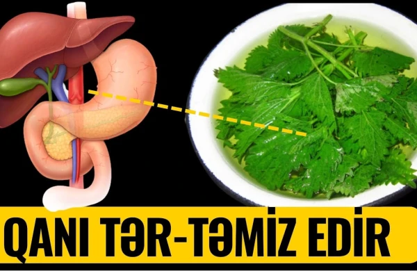 Bədəni 1 Həftəyə İltihabdan Təmizləyir - VİDEO