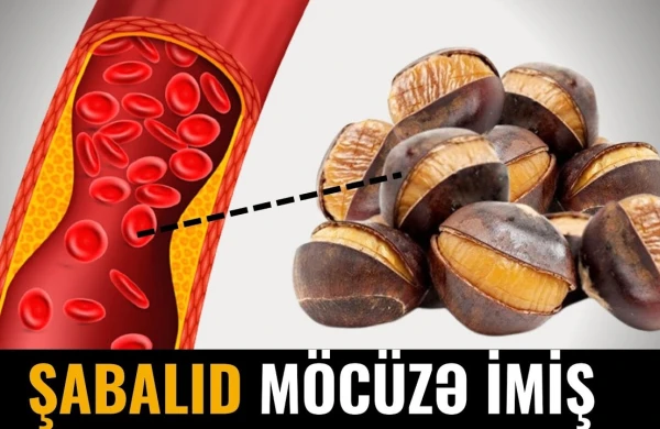 Şabalıd Damarları Necə Təmizləyir? - MÖCÜZƏ TÜRKƏÇARƏ
