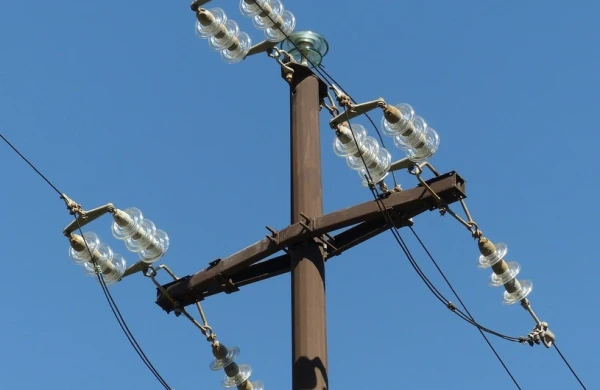Qobustanda elektrik cərəyanı vurması nəticəsində 10 baş inək tələf olub