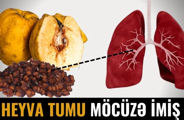 Heyva Tumunu Zibilə Atmayın - 90% İnsan Bu Faydasını Bilmir (VİDEO)