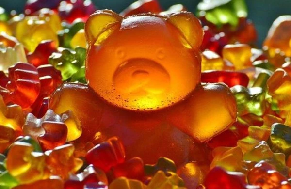 Niderland marmeladı Ginnesin Rekordlar Kitabına düşdü - FOTO