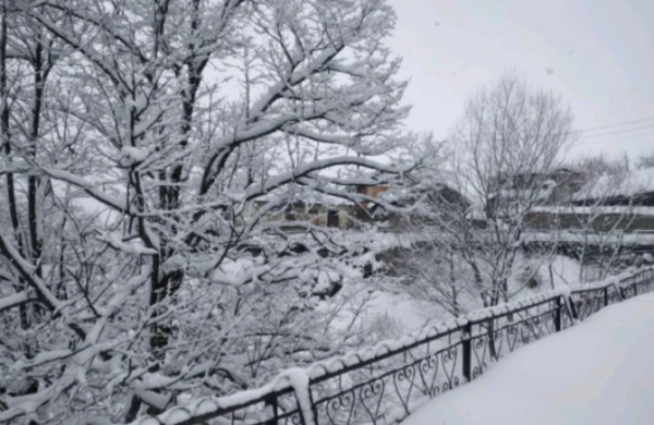 Hava kəskin soyuyacaq, qar yağacaq - XƏBƏRDARLIQ