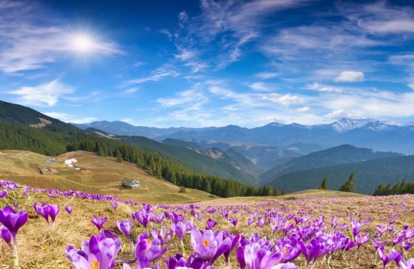 Hava ilə bağlı xəbərdarlıq