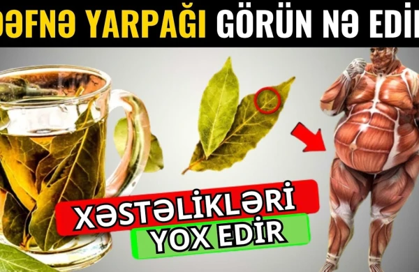 Dəfnə yarpağını qaynadıb,için  - BU XƏSTƏLİKLƏR SAĞALACAQ!