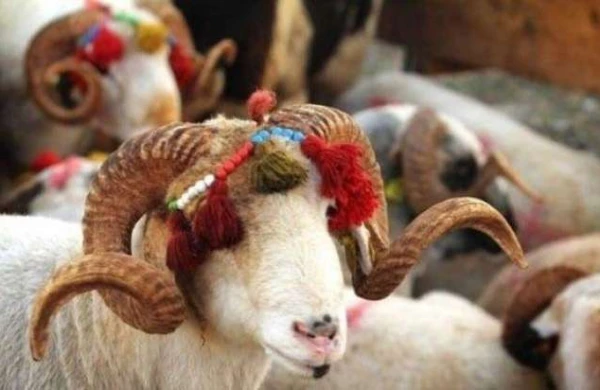 Qurban bayramında neçə gün iş olmayacaq?