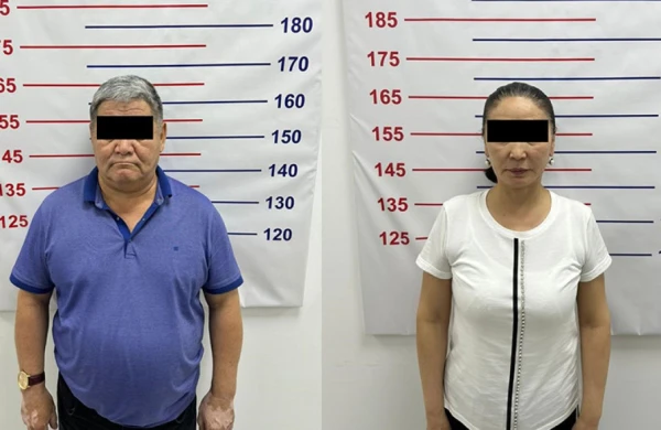 Qırğızıstanda dövlət çevrilişi etmək istəyən şəxslər  saxlanılıb