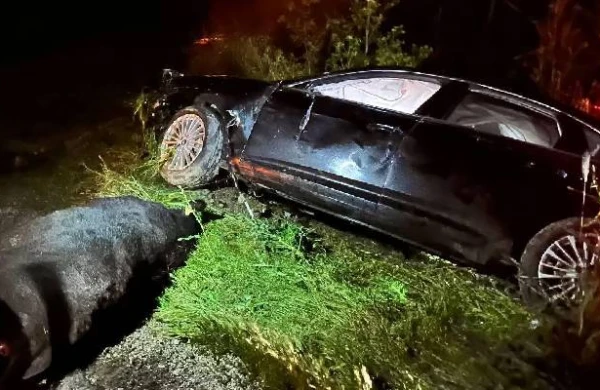 Deputat oğlu ilə avtomobil qəzasına düşdü