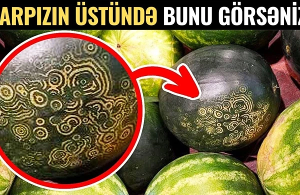 Qarpızda bunu görürsüzsə, Başqasını Alın! —  VİDEO