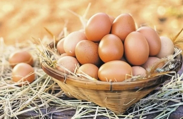 Yumurta bişirməyin ən təhlükəli üsulu