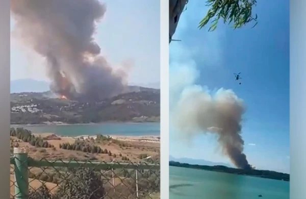 Türkiyədə meşə yanğınları başladı