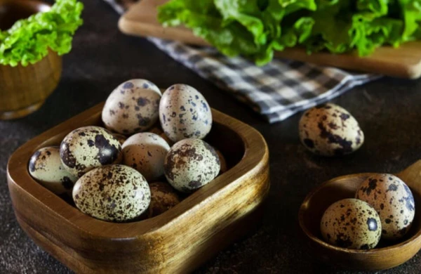 Bildirçin yumurtası yeməyin faydaları