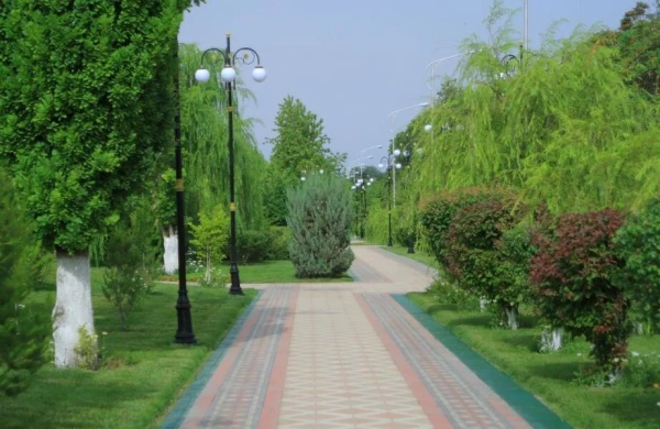 İnsanın bioloji yaşlanmasını ləngidən VACİB MƏQAM
