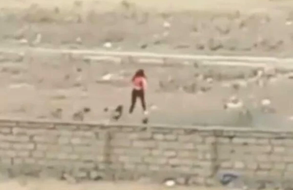 Masazırda küçə itləri qıza hücum etdi - VİDEO