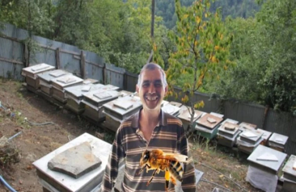 Arı sancan kişi öldü