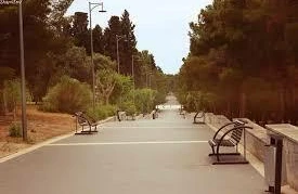 Qardaşı arvadına sataşanı küçədə öldürdü - Qadın şikayətçi olmadı - TƏFƏRRÜATLAR