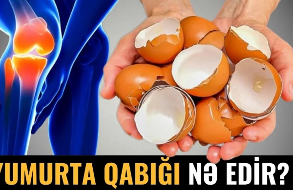 90% İnsan Yumurta Qabığının Nələr Etdiyini Bilmir