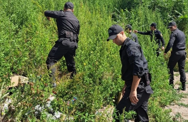 DTX və Polis Laçında əməliyyat keçirib