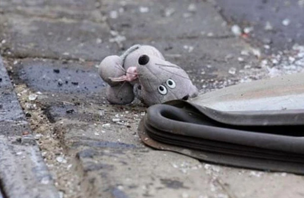 Salyanda DƏHŞƏT: 10 yaşlı uşaq faciəli şəkildə öldü&nbsp;