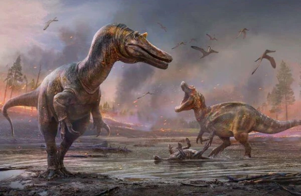 Dinozavrların yaşıdı olan canlı tapıldı