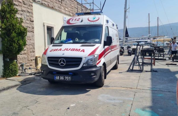 Arı 61 yaşlı kişini öldürdü