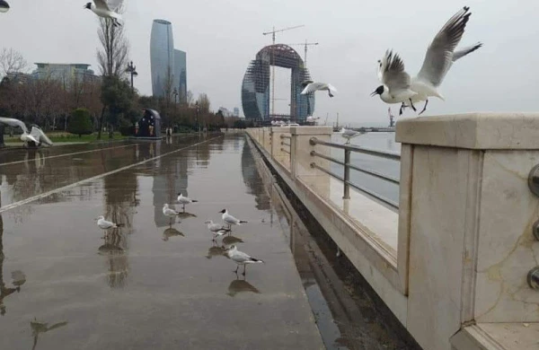 Yağış, dolu, 38° isti - Sabahın havası