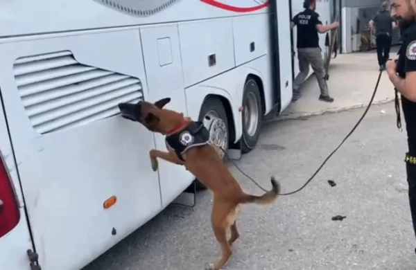 Sərnişin avtobusunda 76 kiloqram heroin ələ keçirildi
